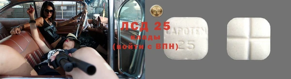 индика Волосово