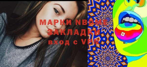 индика Волосово
