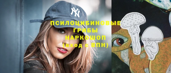 эйфоретик Верея