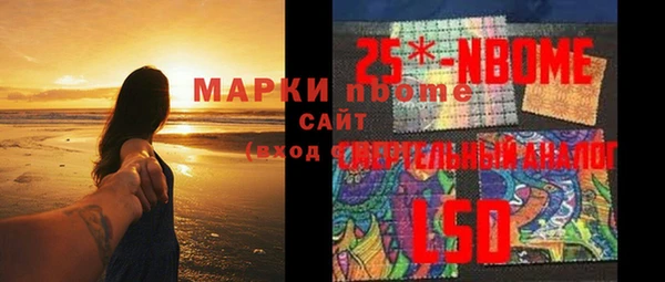 индика Волосово