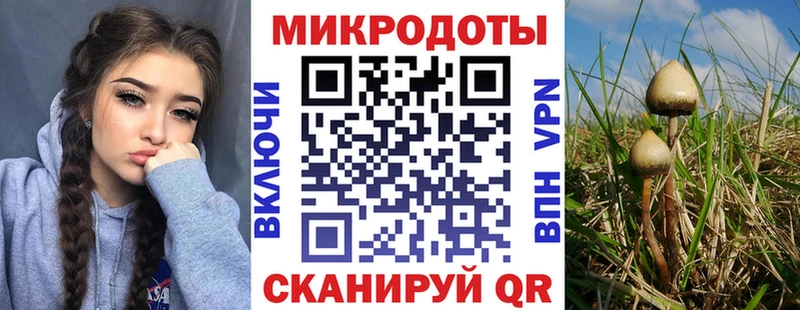 купить закладку  Жуковка  Псилоцибиновые грибы Magic Shrooms 
